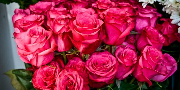 Εορτολόγιο – 11 Μαρτίου: Ποιοι γιορτάζουν σήμερα